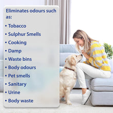 Load image into Gallery viewer, Nilco Angel Odour Super Deodoriser Spray 1L