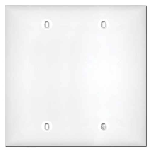 2 Gang Blank Plate 8015