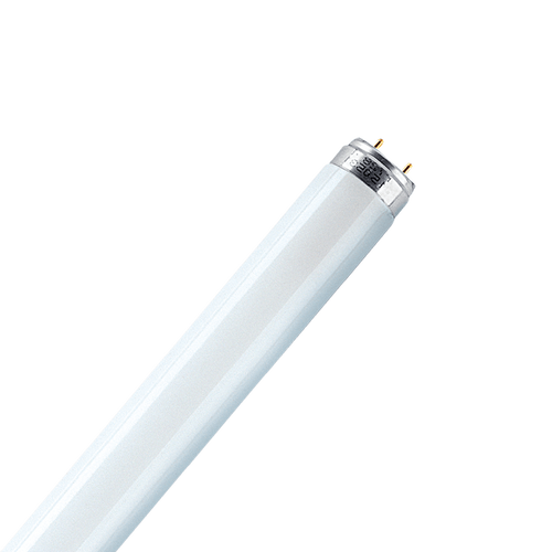 18W T8 2ft 4000K Fluorescent Tube