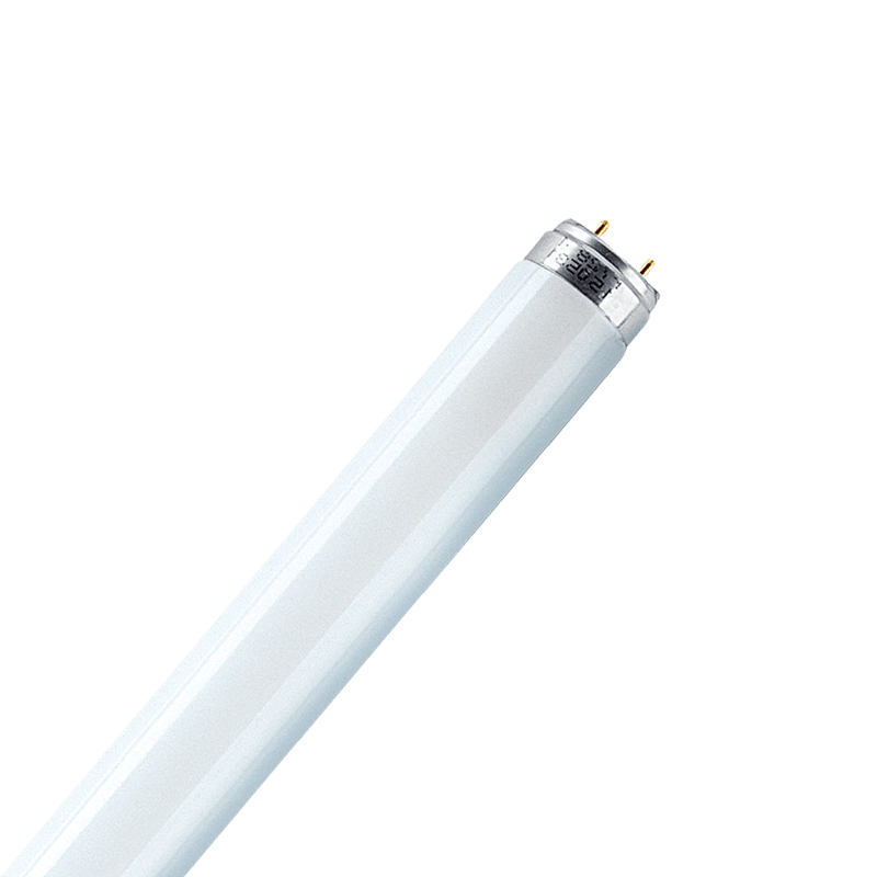 18W T8 2ft 4000K Fluorescent Tube