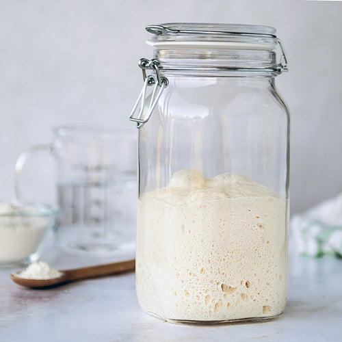 Flour Starters 465W 8090