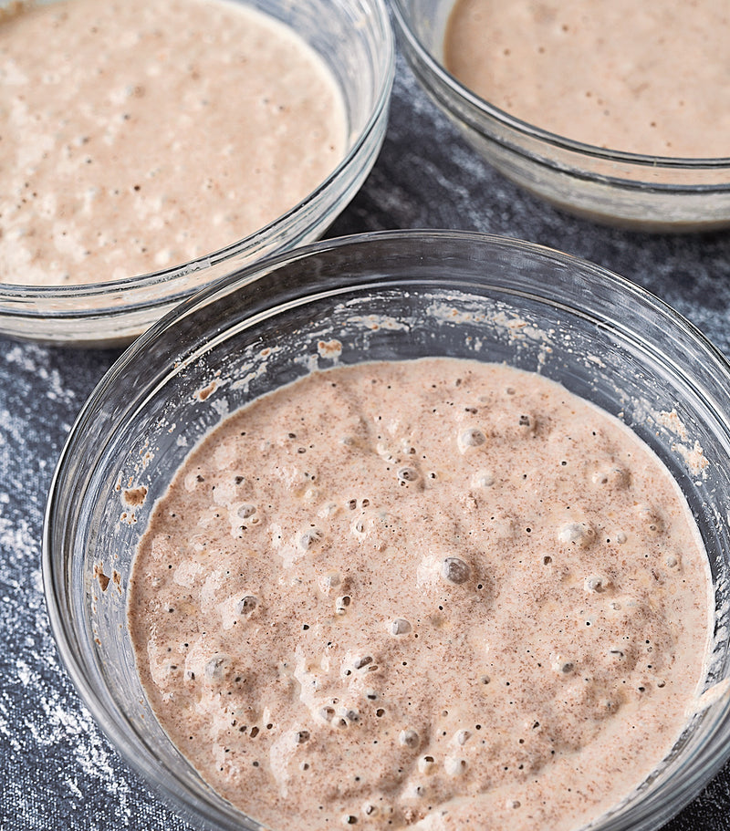 Flour Starters 465W 8090