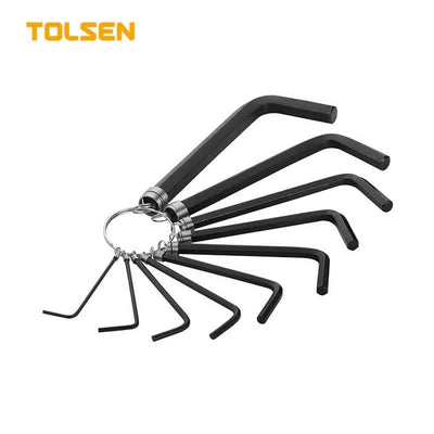 Protool  10pcs Hex Key Set