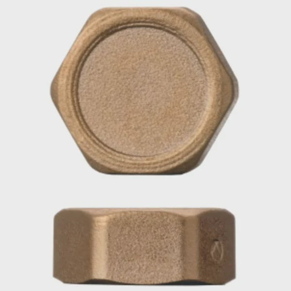 Easi plumb Blanking Cap (3/4