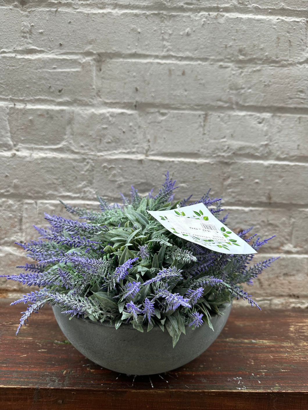 NEARLY NATURAL POTTED LAVENDER LEAF PLANT